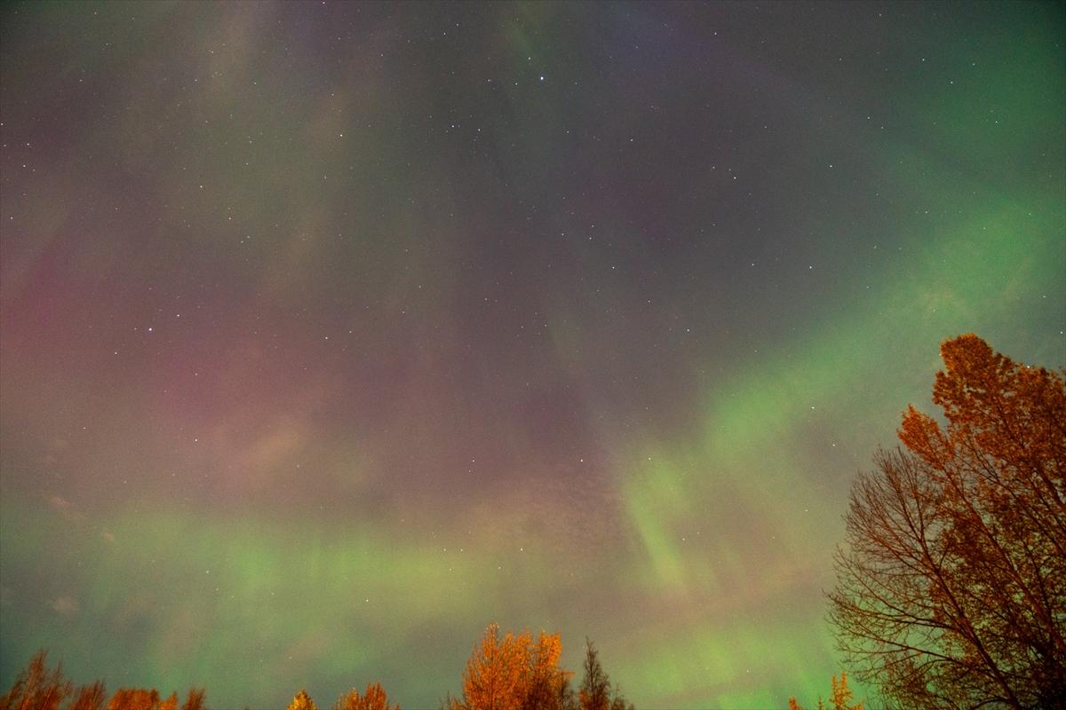 Alaska'da kuzey ışıkları şöleni