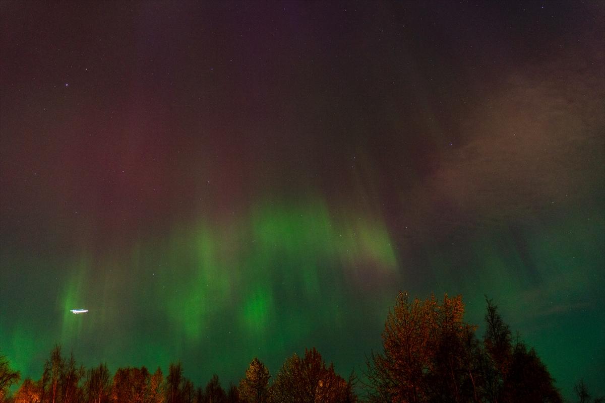 Alaska'da kuzey ışıkları şöleni