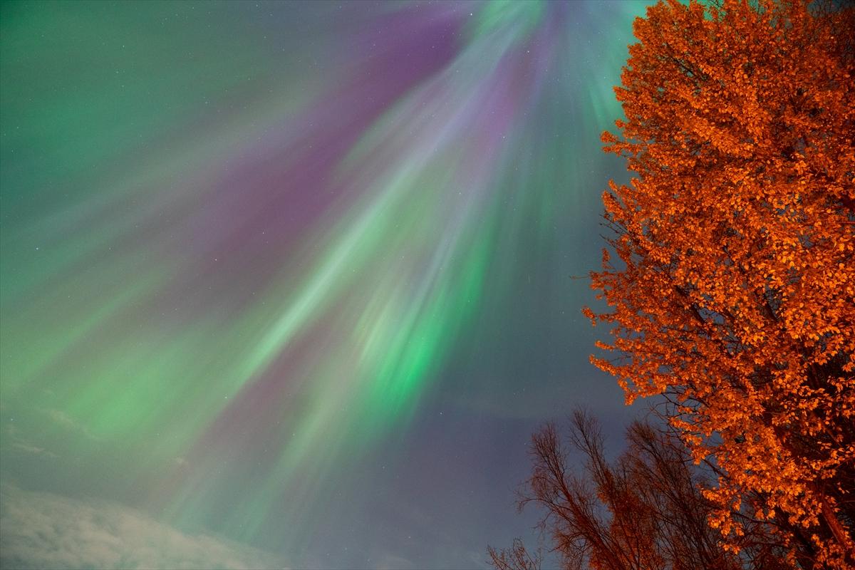 Alaska'da kuzey ışıkları şöleni
