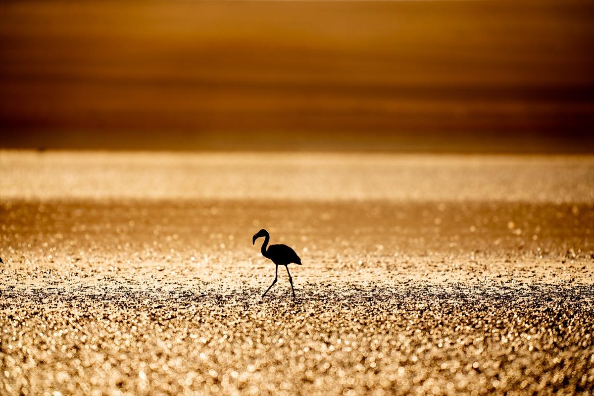 Konya'nın eşsiz güzelliği Düden Gölü: Kuşların uğrak noktası olmaya devam ediyor