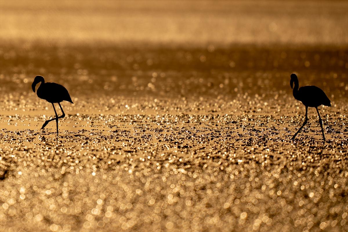 Konya'nın eşsiz güzelliği Düden Gölü: Kuşların uğrak noktası olmaya devam ediyor
