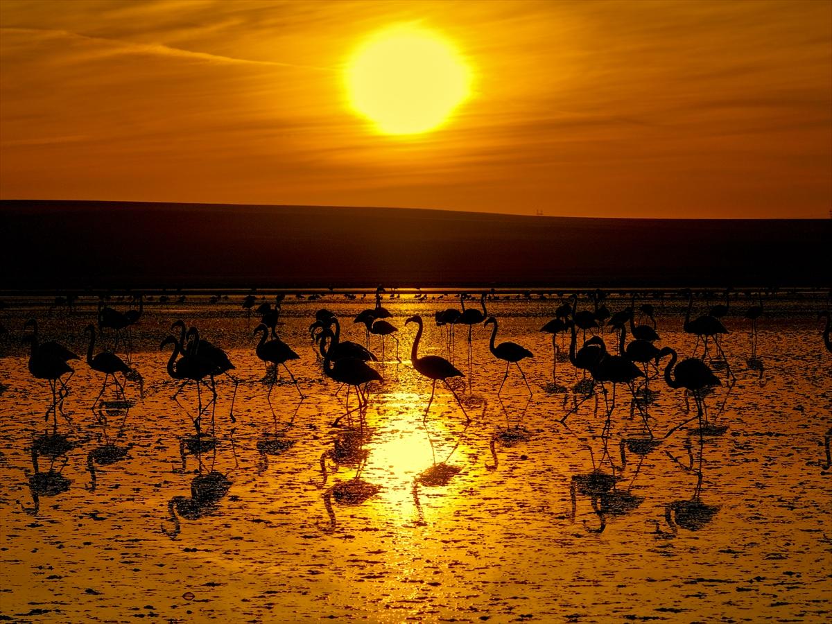 Konya'nın eşsiz güzelliği Düden Gölü: Kuşların uğrak noktası olmaya devam ediyor