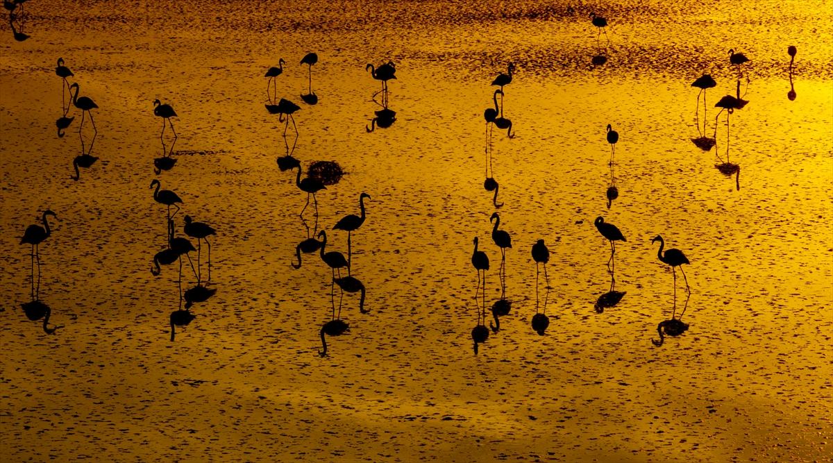 Konya'nın eşsiz güzelliği Düden Gölü: Kuşların uğrak noktası olmaya devam ediyor