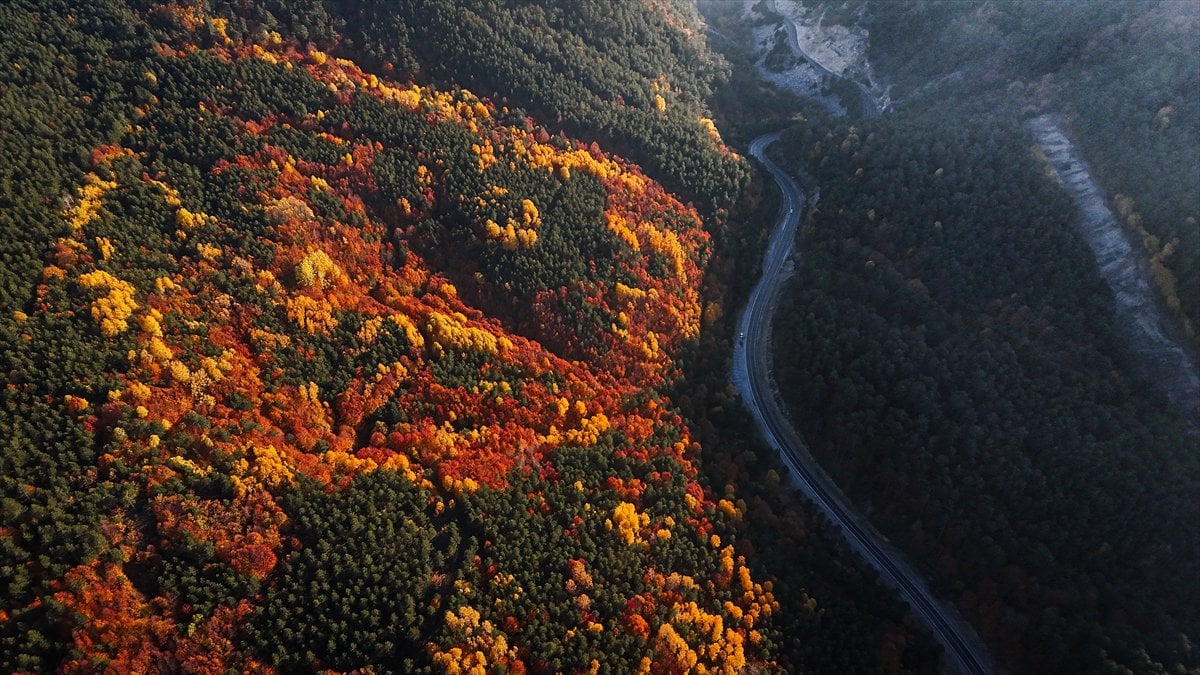 Domaniç Dağları'nda rengarenk sonbahar