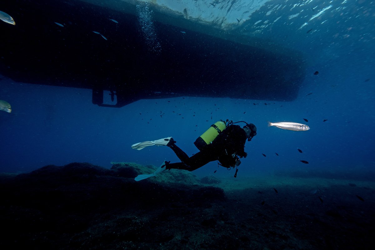 Deli Mehmet Sığlığı'nın büyüleyen su altı dünyası