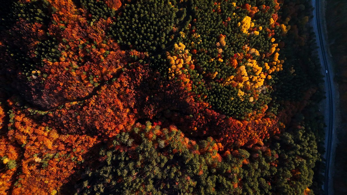 Domaniç Dağları'nda rengarenk sonbahar