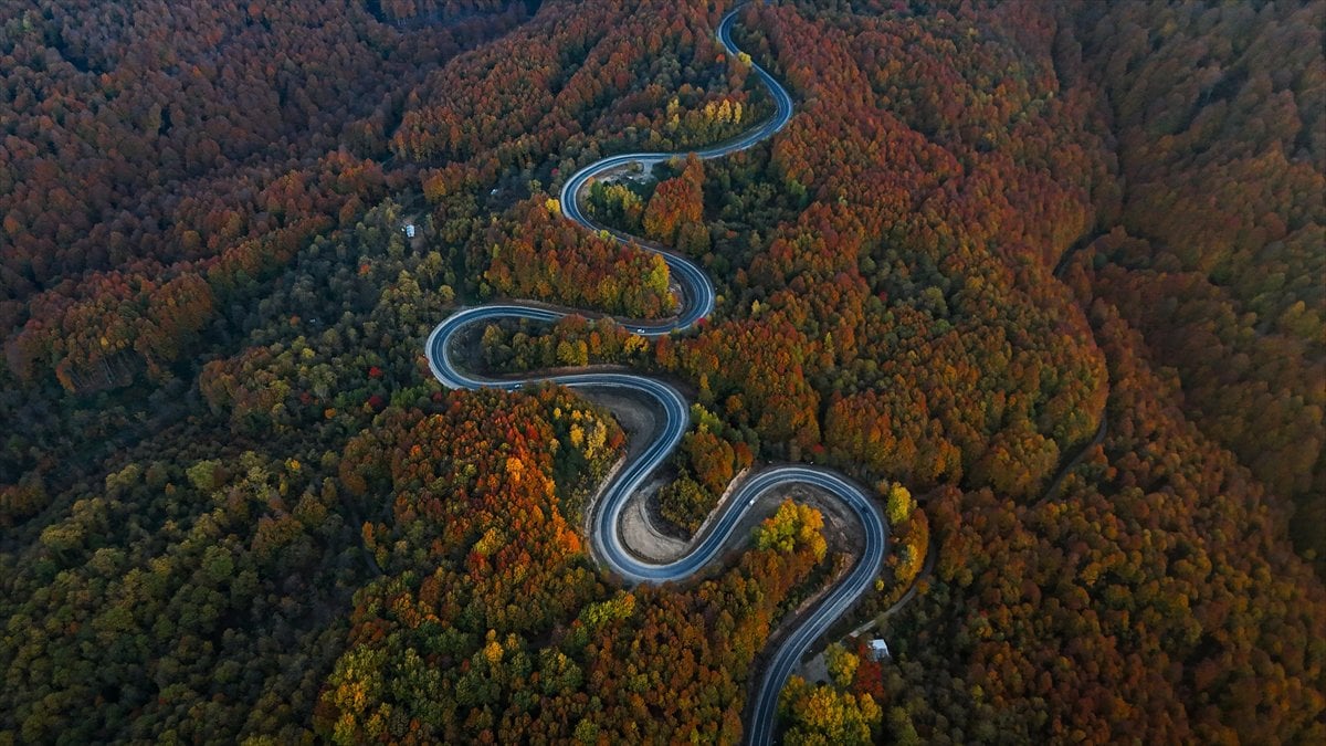 Domaniç Dağları'nda rengarenk sonbahar
