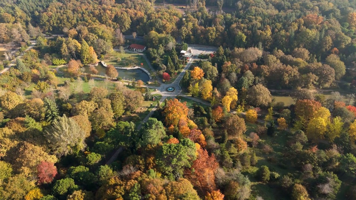 Atatürk Arboretumu’nda kartpostallık sonbahar görüntüleri