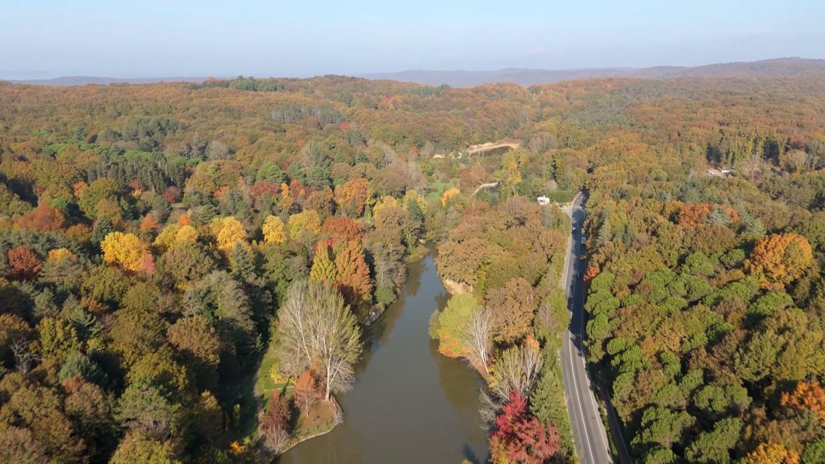 Atatürk Arboretumu’nda kartpostallık sonbahar görüntüleri