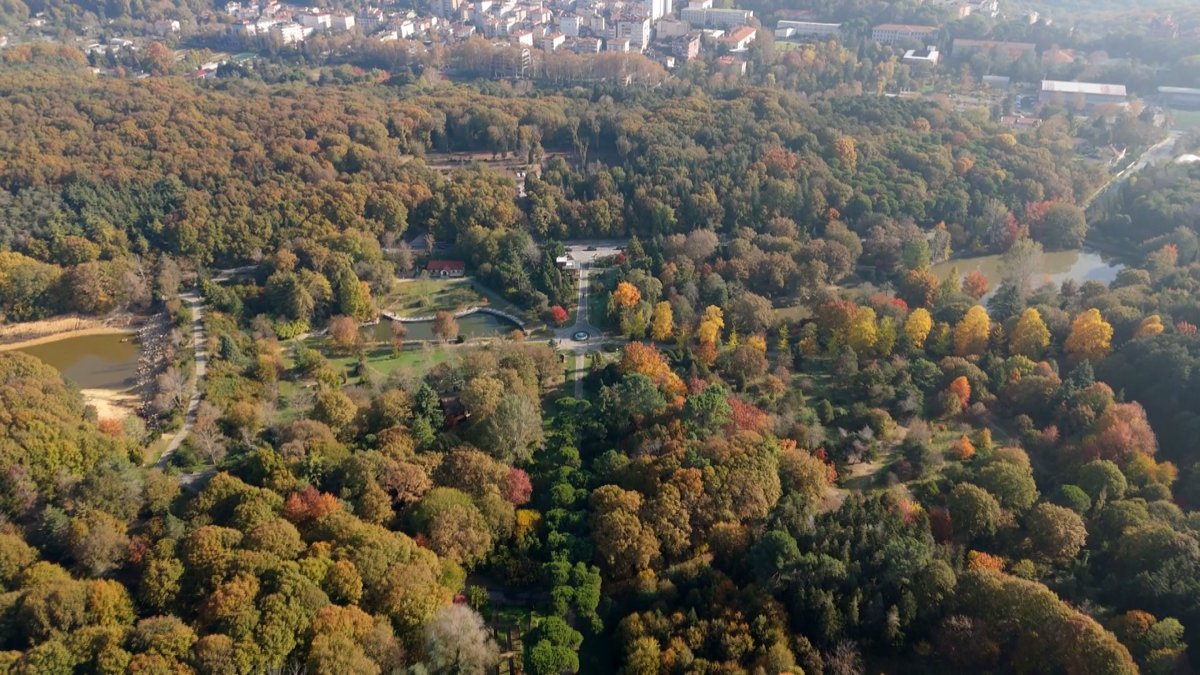 Atatürk Arboretumu’nda kartpostallık sonbahar görüntüleri