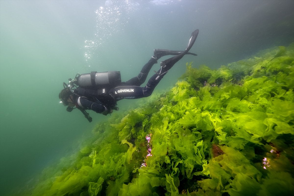 İstanbul Boğazı'nın sular altındaki manzarası