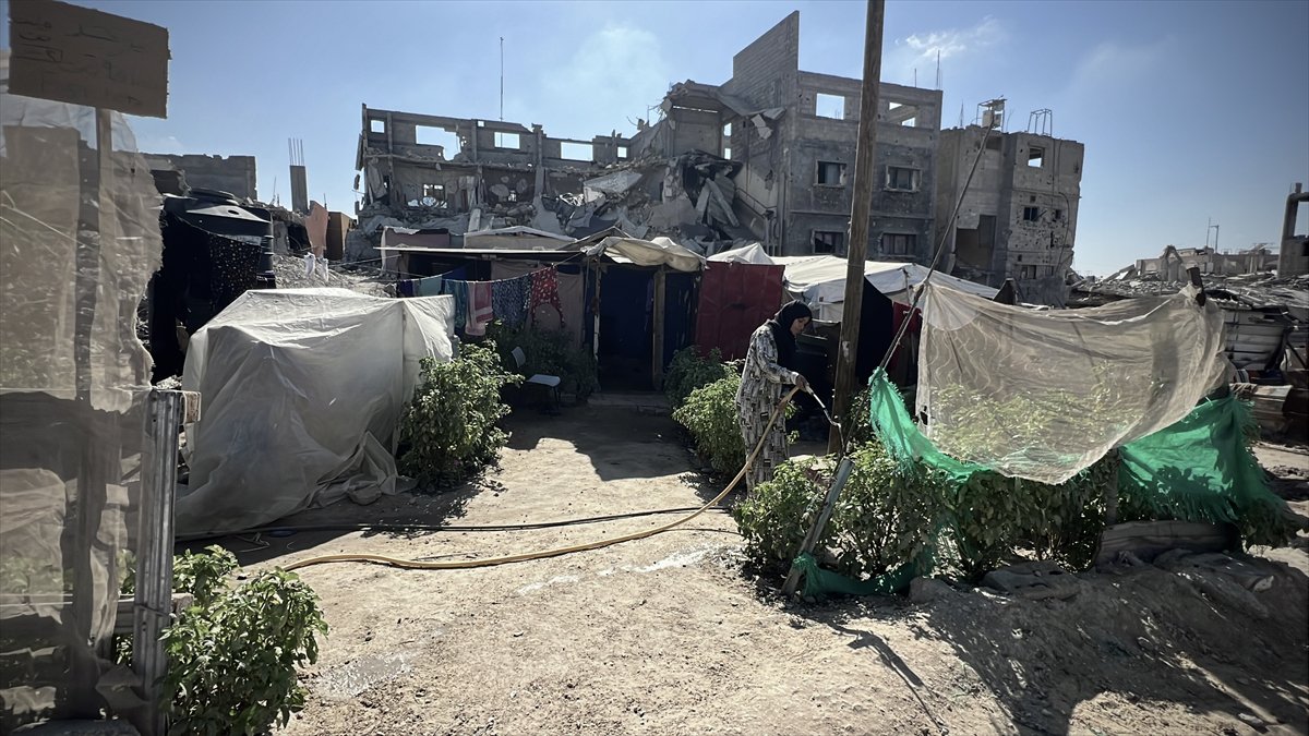 Filistinli çiftçiler kaldıkları çadırların arasında sebze yetiştirmeye başladı