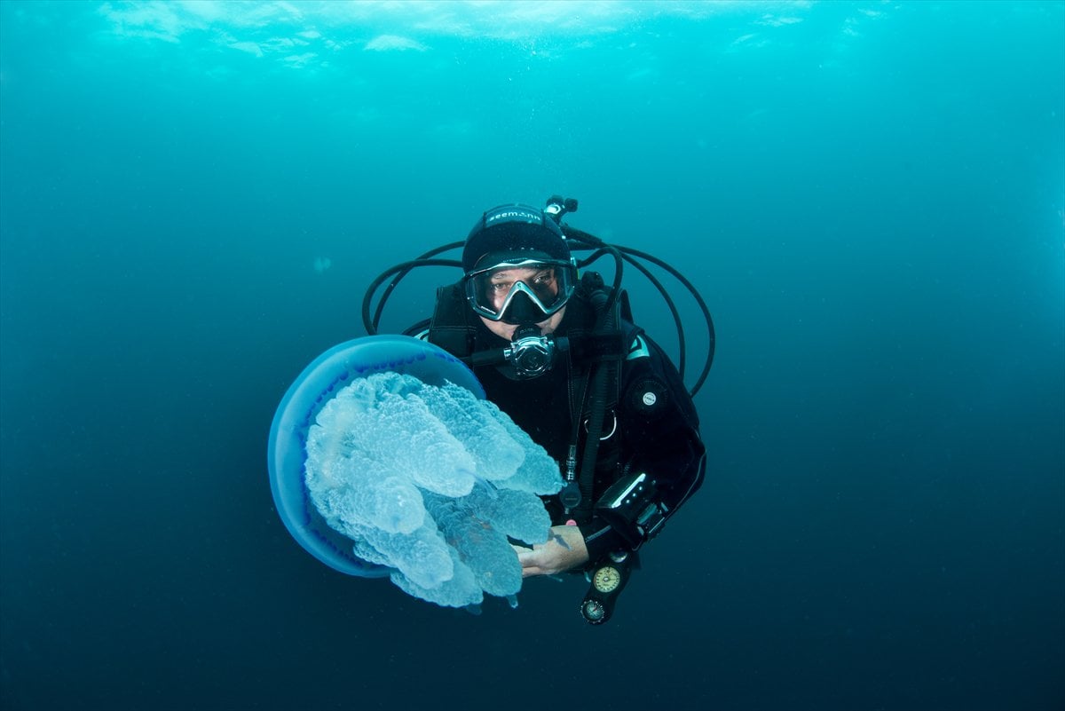 İstanbul Boğazı'nın sular altındaki manzarası