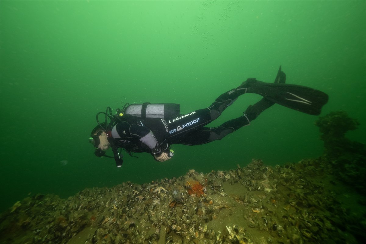 İstanbul Boğazı'nın sular altındaki manzarası