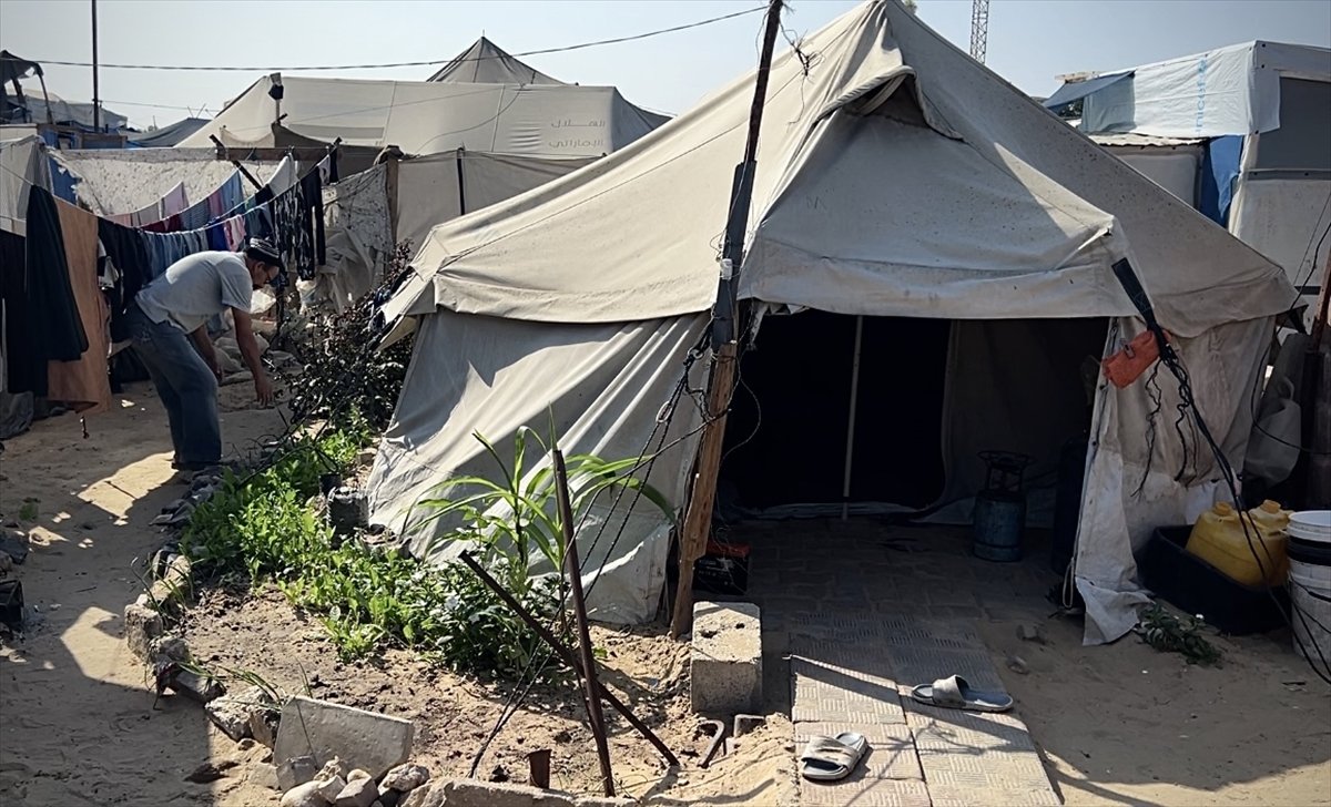 Filistinli çiftçiler kaldıkları çadırların arasında sebze yetiştirmeye başladı