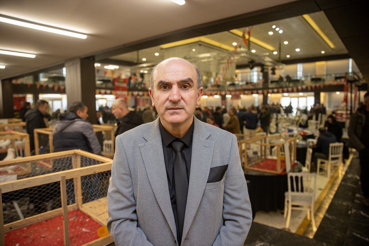 Sakarya'daki Güvercin Festivali'nde sıra dışı yarış