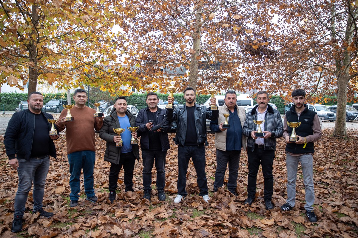Sakarya'daki Güvercin Festivali'nde sıra dışı yarış