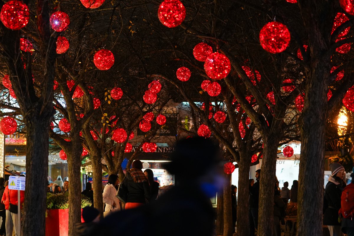 Toronto'da Noel hazırlıkları
