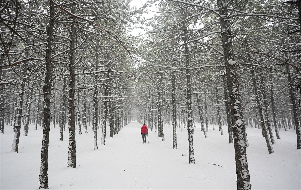 Yurt genelinden kar manzaraları