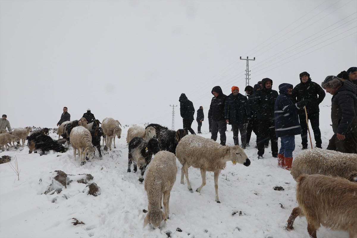 Yurt genelinden kar manzaraları