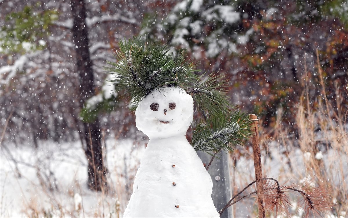 Yurt genelinden kar manzaraları