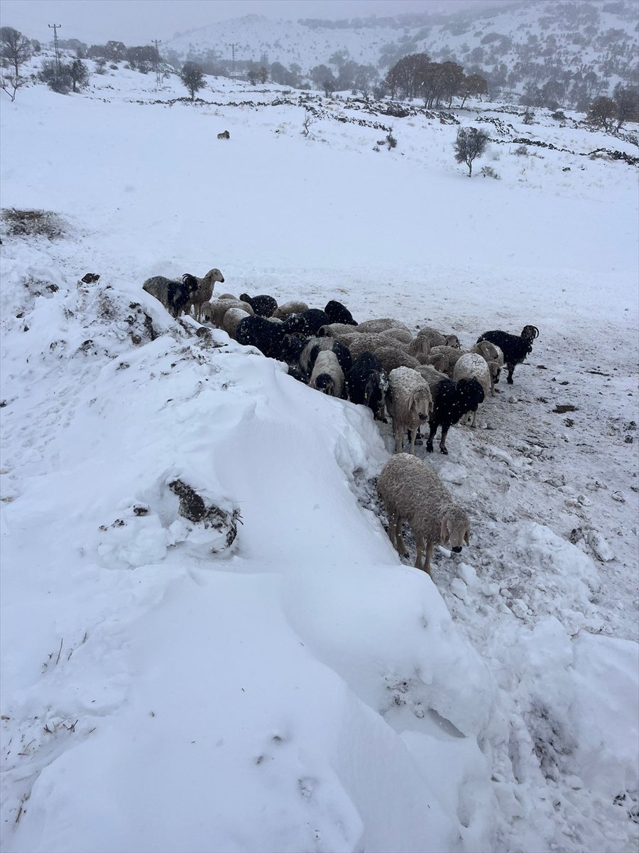Yurt genelinden kar manzaraları