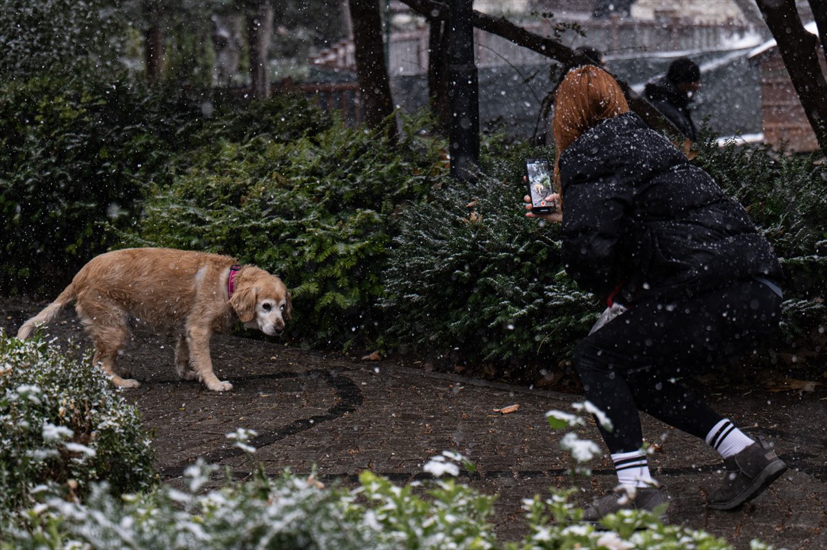 Yurt genelinden kar manzaraları