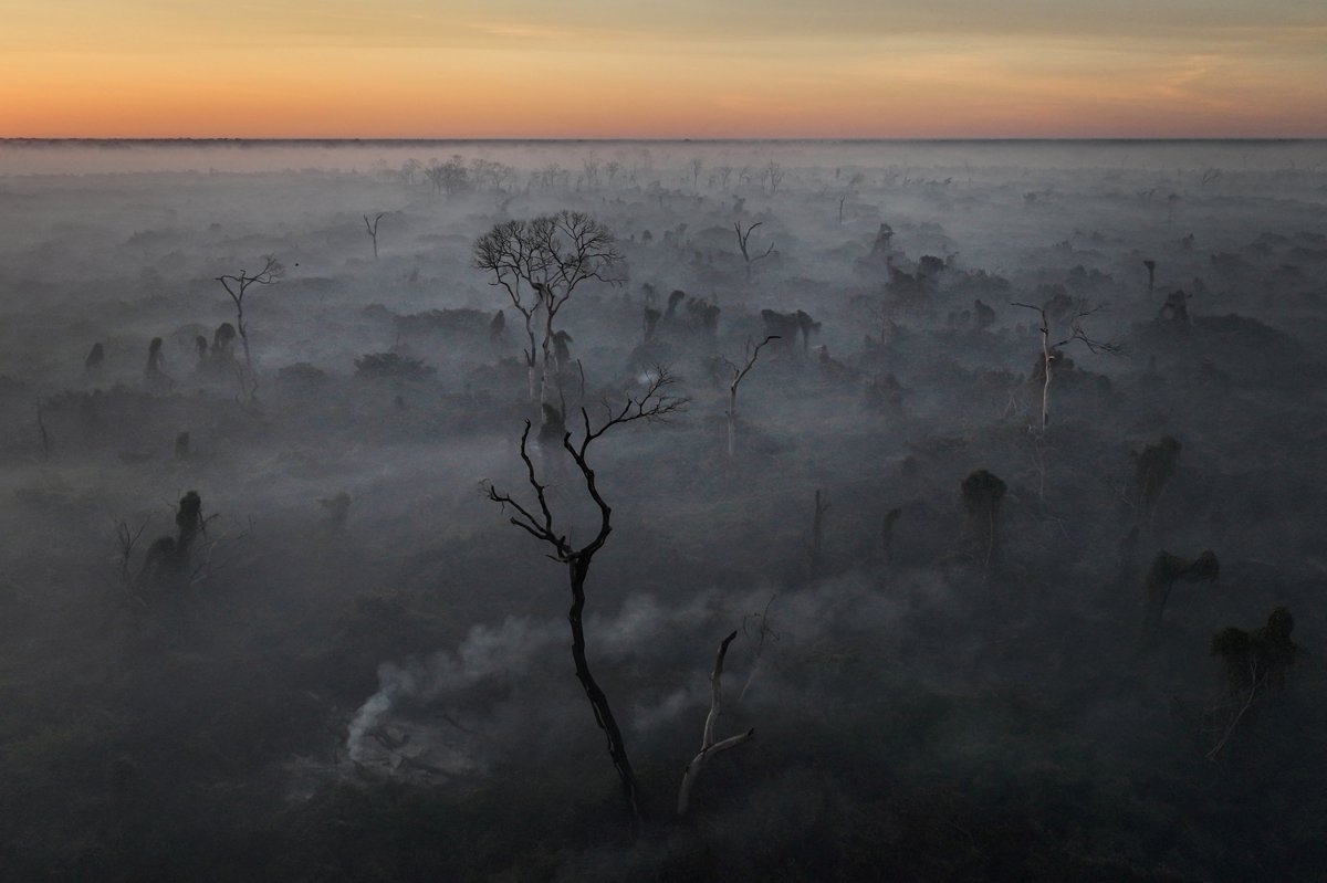 2024 yılına damgasını vuran fotoğraflar