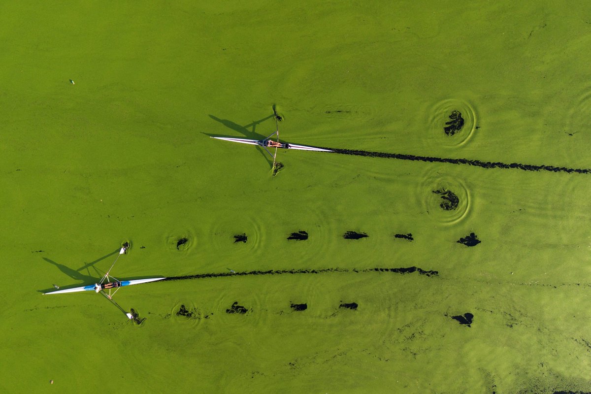 2024 yılına damgasını vuran fotoğraflar