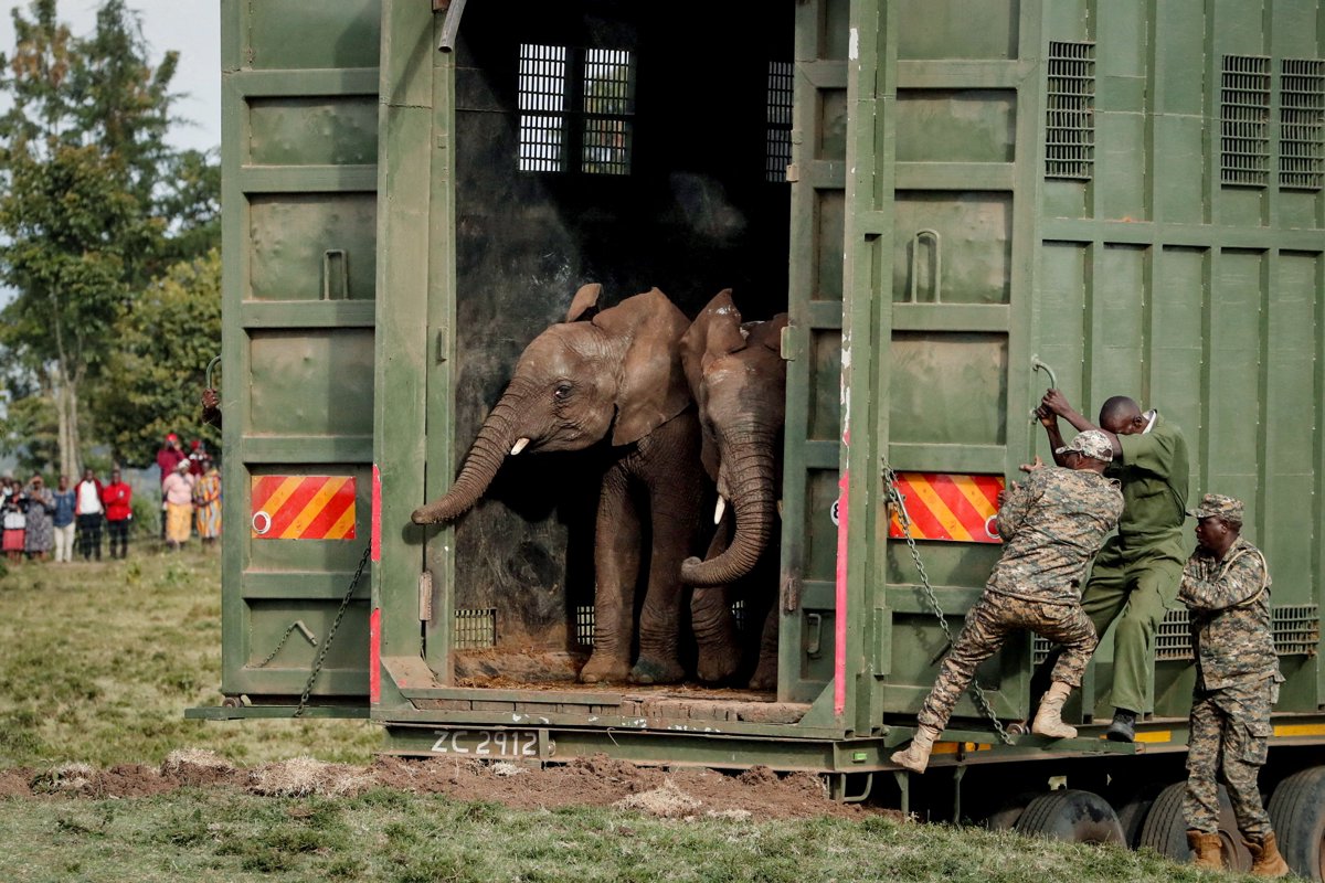 2024 yılına damgasını vuran fotoğraflar