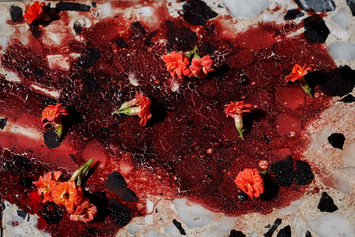 2024 yılına damgasını vuran fotoğraflar