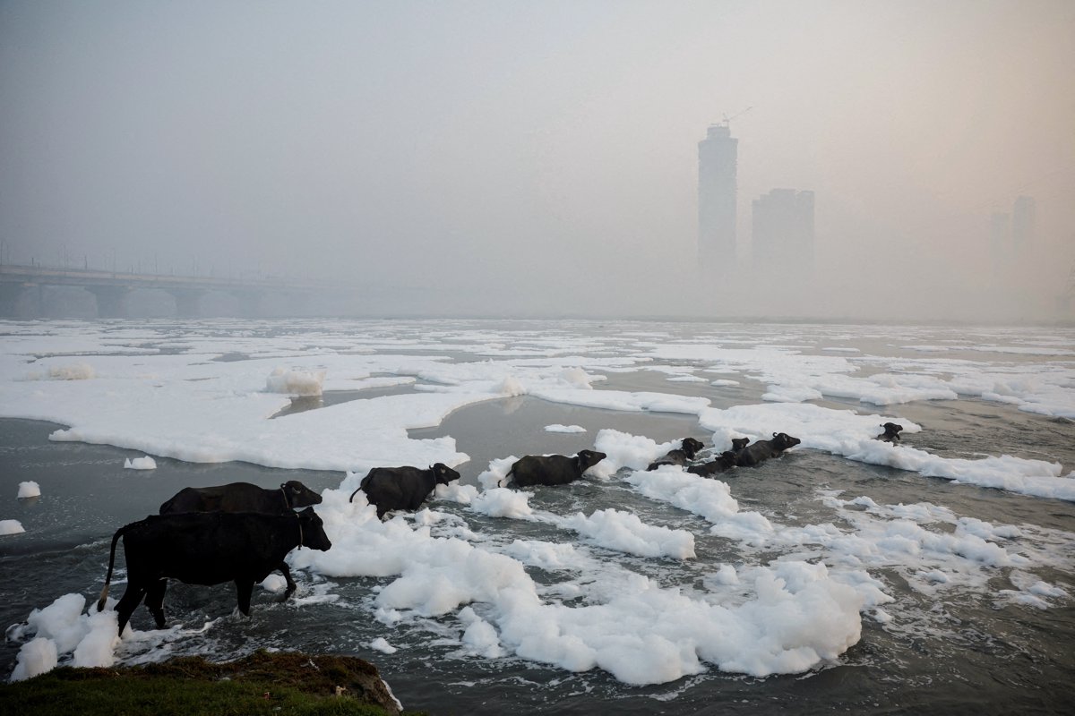 2024 yılına damgasını vuran fotoğraflar