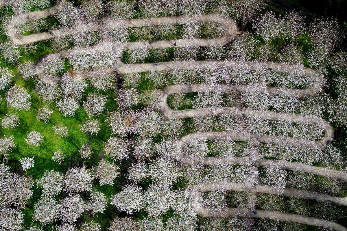 2024 yılına damgasını vuran fotoğraflar