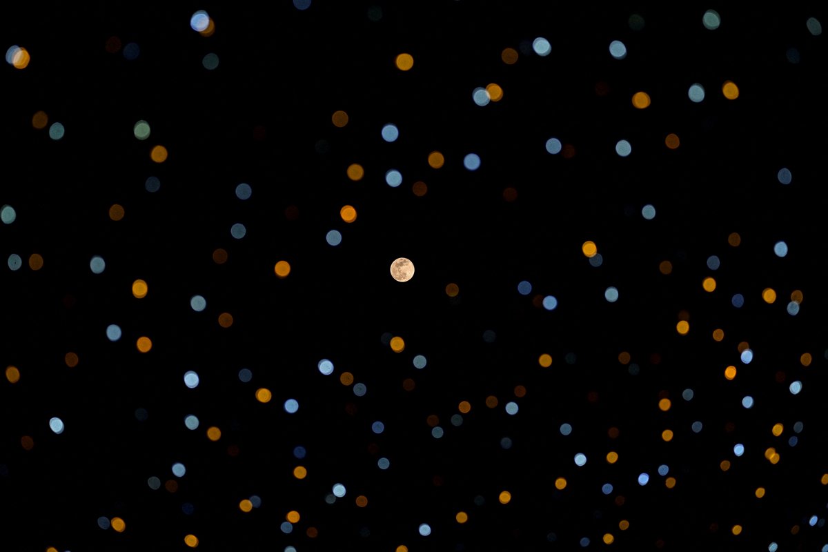 2024 yılına damgasını vuran fotoğraflar