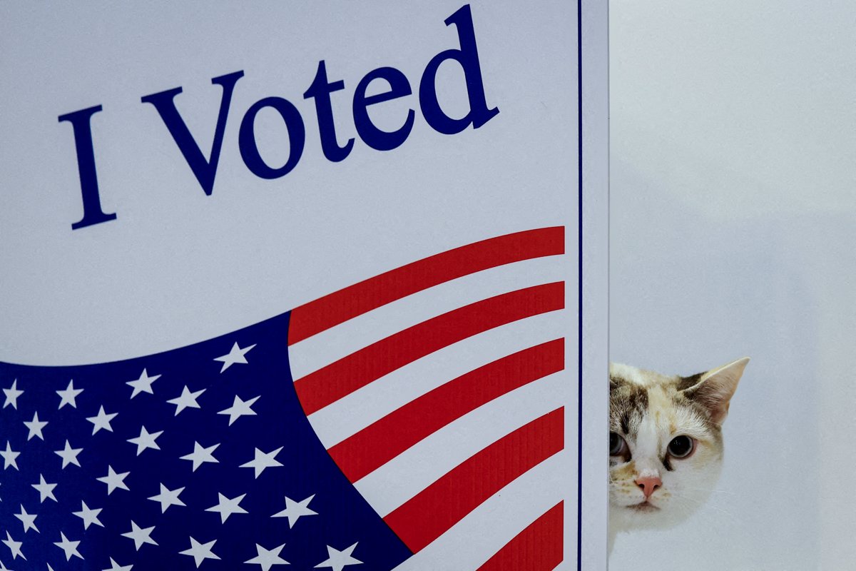 2024 yılına damgasını vuran fotoğraflar