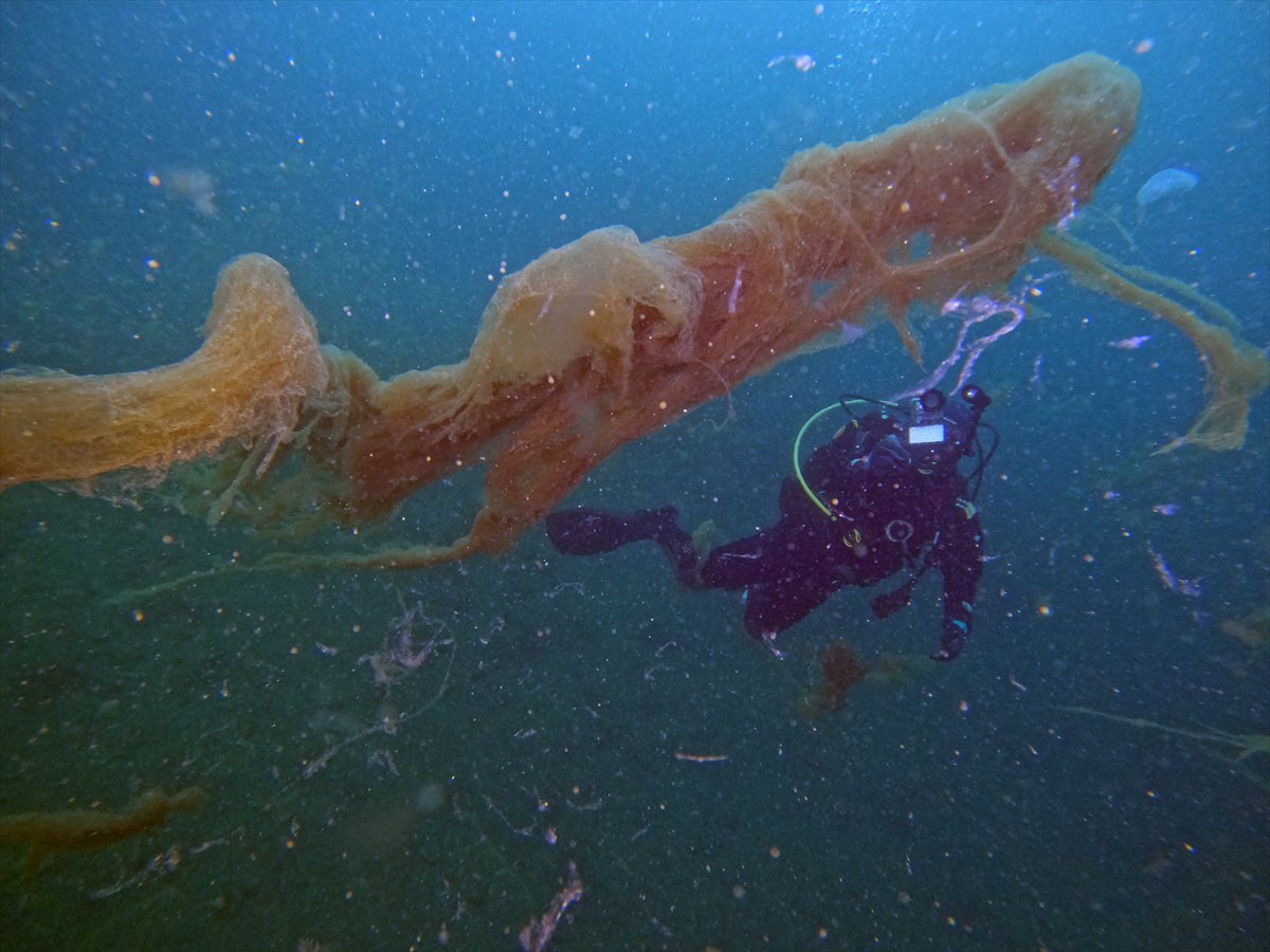 Marmara Denizi'nde tehlike çanları: Gölcük'te müsilaj görüldü