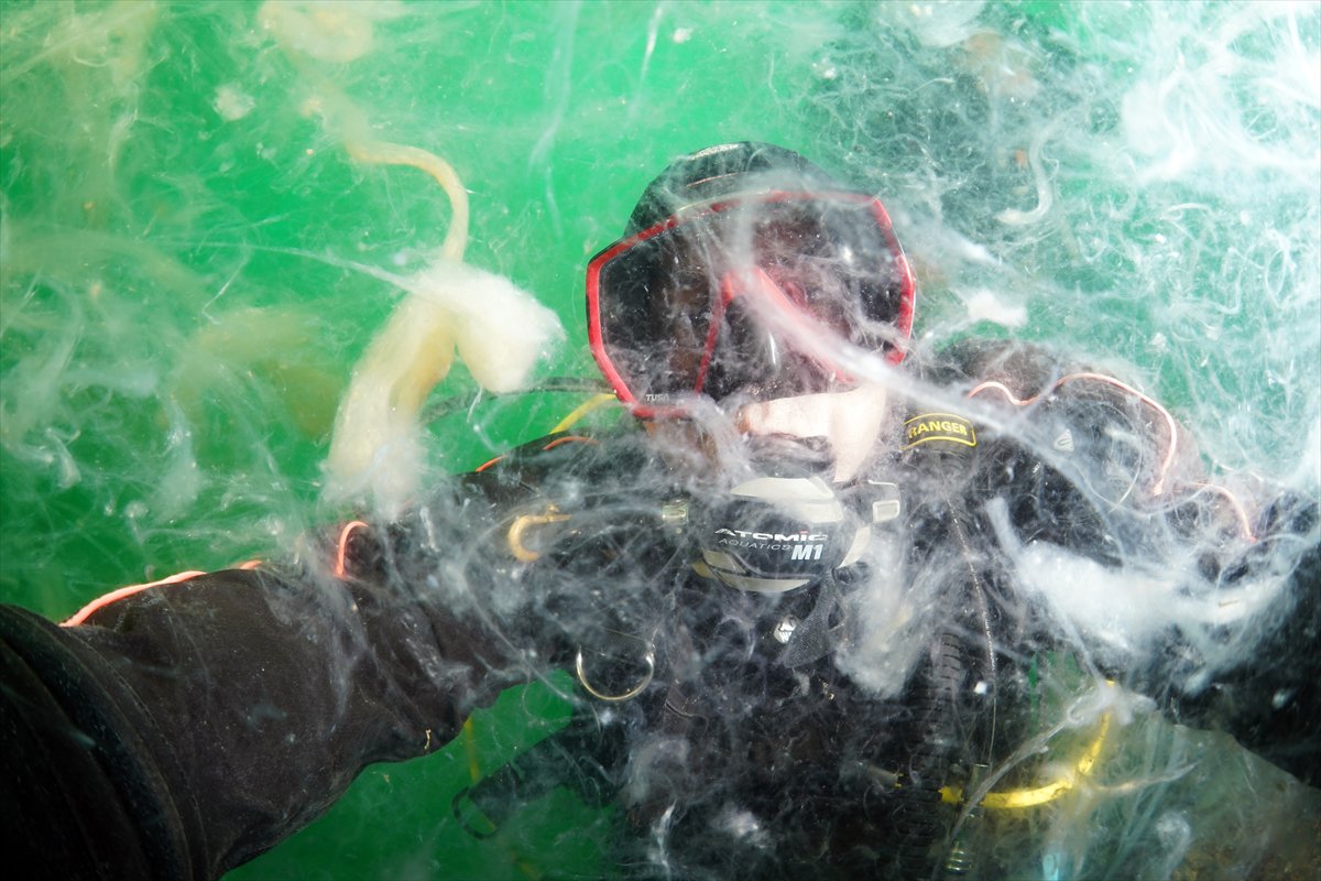 Marmara Denizi'nde tehlike çanları: Gölcük'te müsilaj görüldü