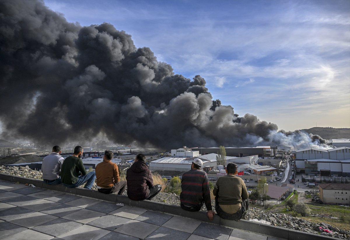 2024'ü anlatan kareler: Haber ve özgür Suriye