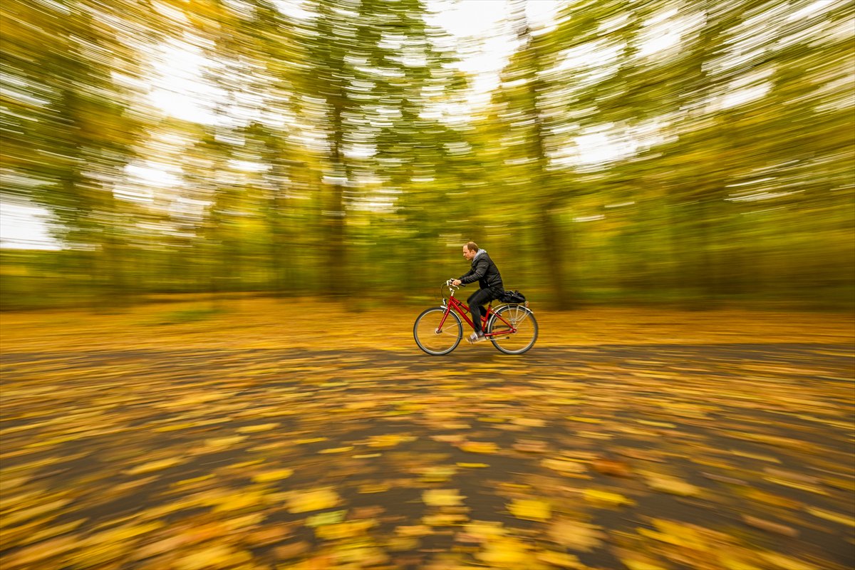 2024'ü anlatan kareler: Haber ve özgür Suriye