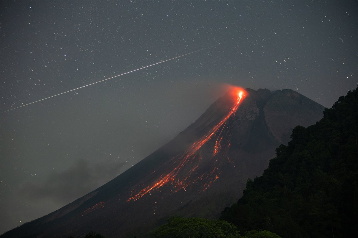 Yılın kareleri: Günlük hayat, doğal yaşam ve çevre