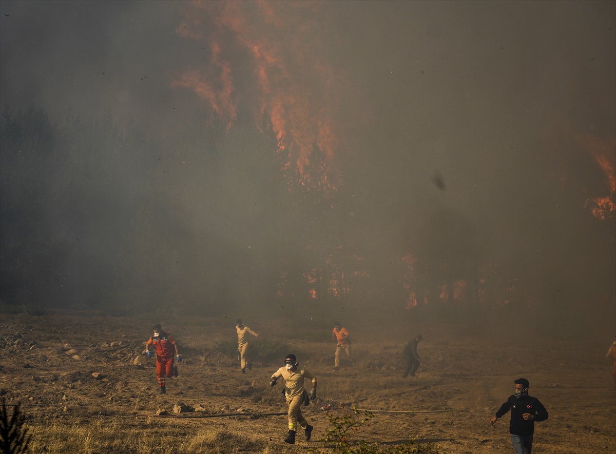 2024'ü anlatan kareler: Haber ve özgür Suriye