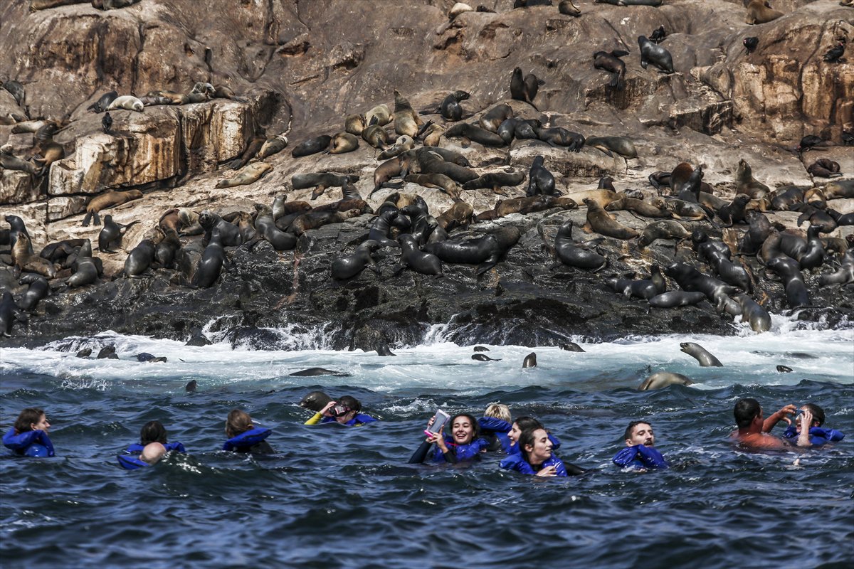 Yılın kareleri: Günlük hayat, doğal yaşam ve çevre