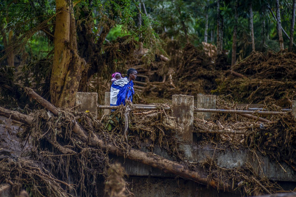 Yılın kareleri: Günlük hayat, doğal yaşam ve çevre