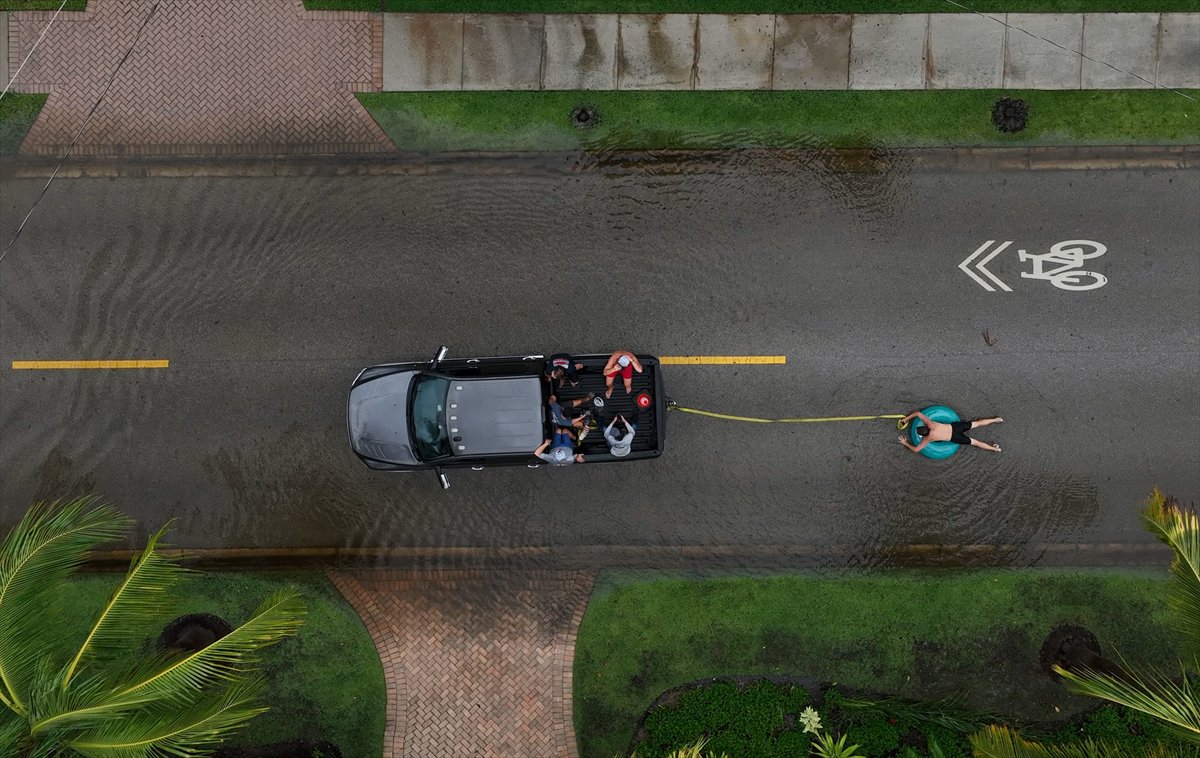 Yılın kareleri: Günlük hayat, doğal yaşam ve çevre