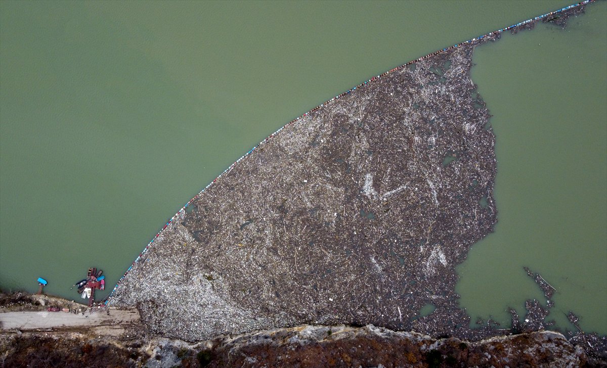 2024'ü anlatan kareler: Haber ve özgür Suriye