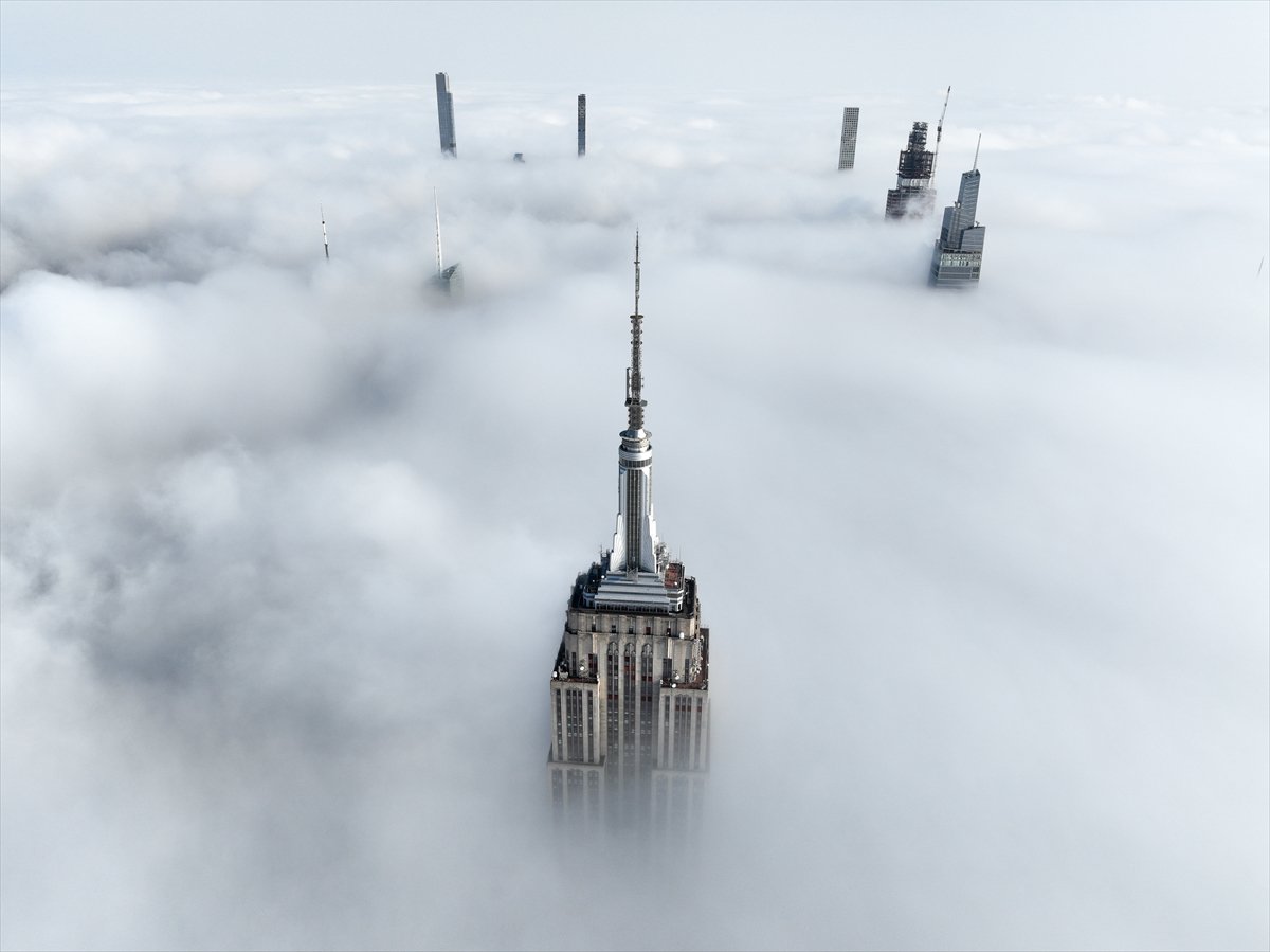 Yılın kareleri: Günlük hayat, doğal yaşam ve çevre