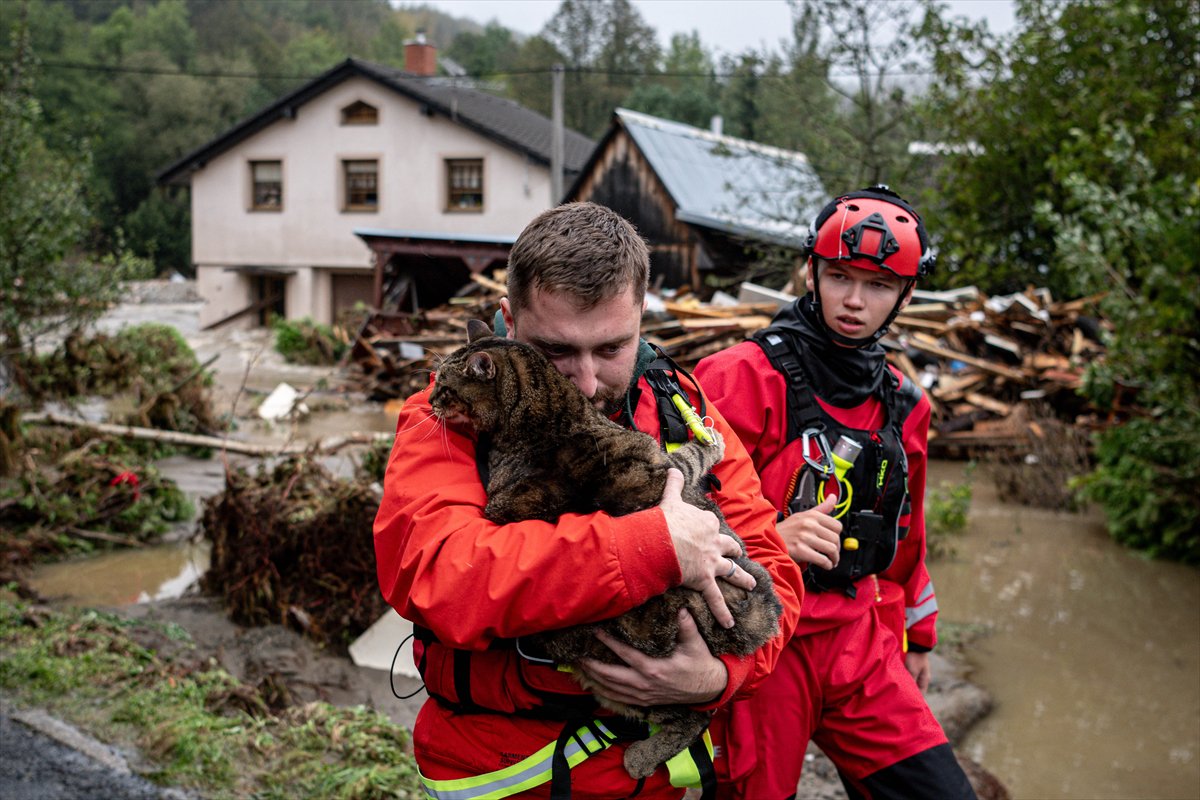 2024'ü anlatan kareler: Haber ve özgür Suriye