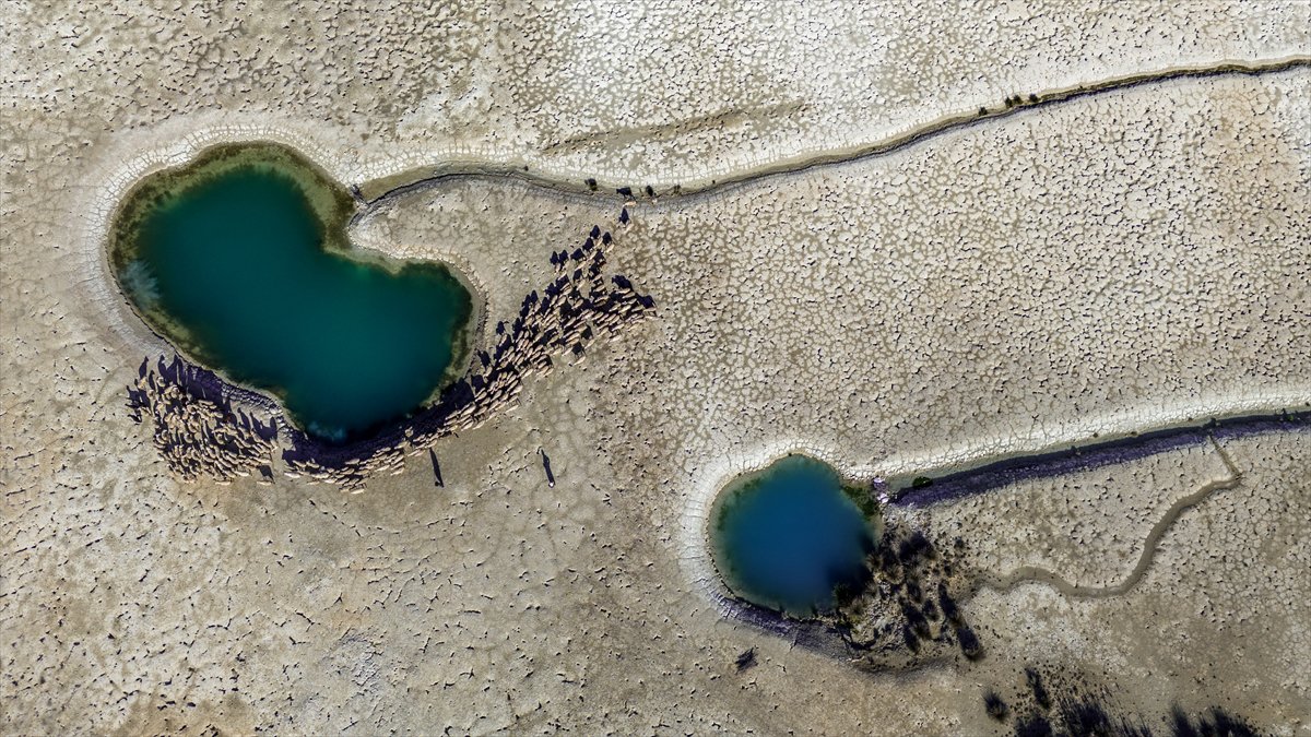 2024'ü anlatan kareler: Haber ve özgür Suriye