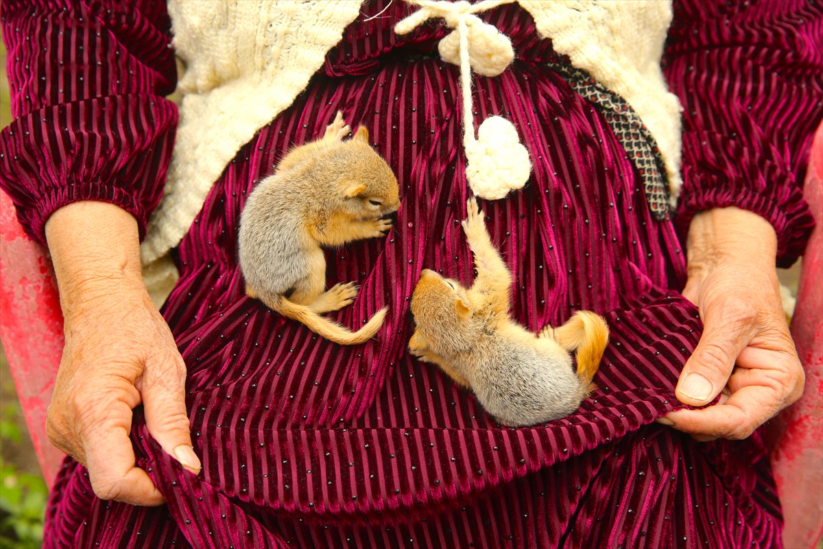 2024'ü anlatan kareler: Haber ve özgür Suriye