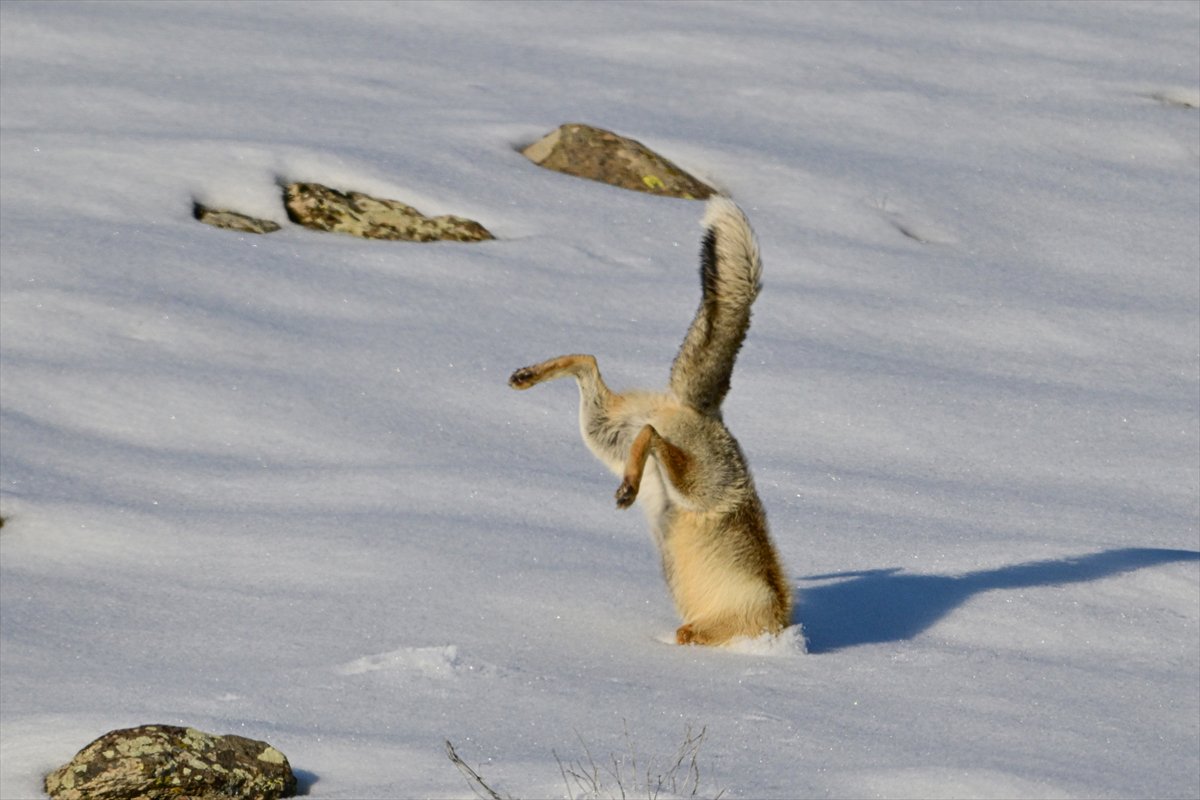 2024'ü anlatan kareler: Haber ve özgür Suriye